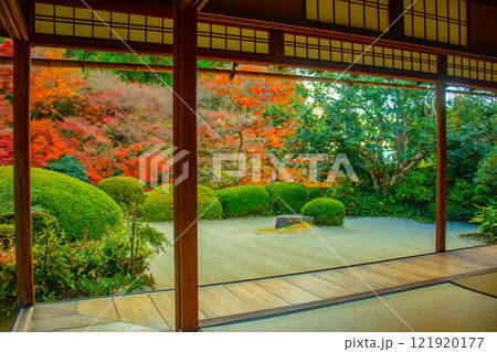 【京都風景】詩仙堂 秋の日差しに赤く染まる庭園 【京都風景】詩仙堂 秋の日差しに赤く染まる庭園 121920177