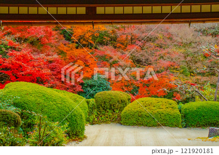 【京都風景】詩仙堂 秋の日差しに赤く染まる庭園 【京都風景】詩仙堂 秋の日差しに赤く染まる庭園 121920181