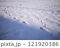 雪に覆われた大地と足跡 雪に覆われた大地と足跡 121920386