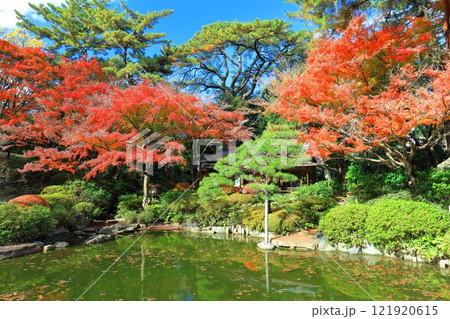 【東京都】シンメトリーな東京都庭園美術館の日本庭園の茶屋と紅葉 【東京都】シンメトリーな東京都庭園美術館の日本庭園の茶屋と紅葉 121920615