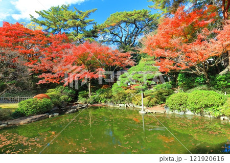 【東京都】シンメトリーな東京都庭園美術館の日本庭園の茶屋と紅葉 【東京都】シンメトリーな東京都庭園美術館の日本庭園の茶屋と紅葉 121920616