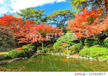 【東京都】シンメトリーな東京都庭園美術館の日本庭園の茶屋と紅葉 【東京都】シンメトリーな東京都庭園美術館の日本庭園の茶屋と紅葉 121920617