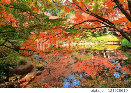 【東京都】シンメトリーな東京都庭園美術館の日本庭園の茶屋と紅葉 121920619
