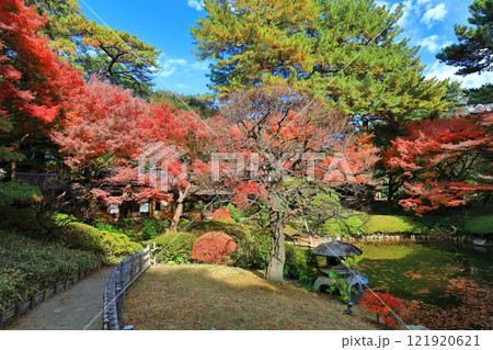 【東京都】シンメトリーな東京都庭園美術館の日本庭園の茶屋と紅葉 121920621