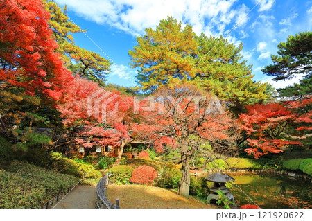 【東京都】東京都庭園美術館の日本庭園の茶屋と紅葉 121920622