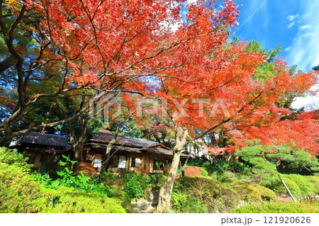 【東京都】晴天の東京都庭園美術館 121920626
