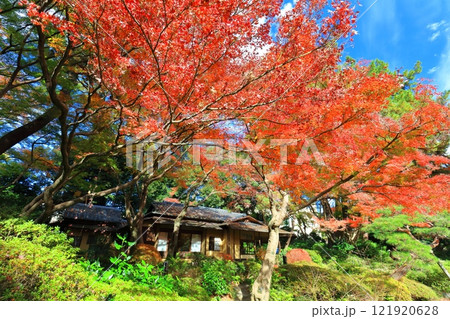 【東京都】晴天の東京都庭園美術館 【東京都】晴天の東京都庭園美術館 121920628