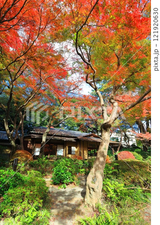 【東京都】東京都庭園美術館の日本庭園の茶屋と紅葉 【東京都】東京都庭園美術館の日本庭園の茶屋と紅葉 121920630