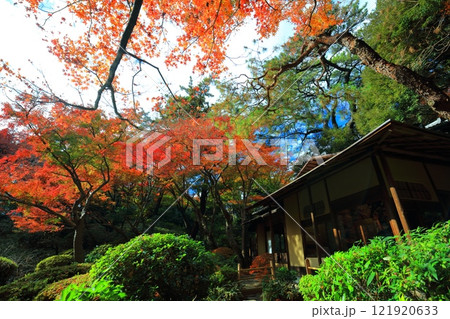 【東京都】東京都庭園美術館の日本庭園の茶屋と紅葉 121920633