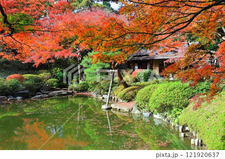 【東京都】シンメトリーな東京都庭園美術館の日本庭園の茶屋と紅葉 【東京都】シンメトリーな東京都庭園美術館の日本庭園の茶屋と紅葉 121920637