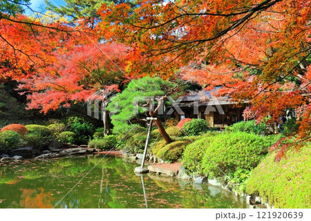 【東京都】シンメトリーな東京都庭園美術館の日本庭園の茶屋と紅葉 121920639