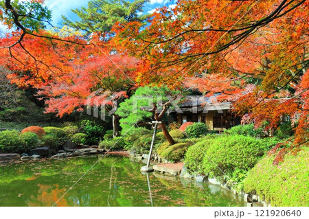 【東京都】シンメトリーな東京都庭園美術館の日本庭園の茶屋と紅葉 121920640