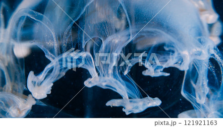 Glamour paint. Shimmering sphere. Blue beige haze blur flow smooth swirl on glass transparent ball. Liquid art veil black abstract background. 121921163