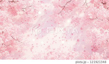 一面の桜の花びら 一面の桜の花びら 121921348