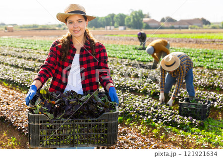 Woman farmer carrying box with picked komatsuna 121921634