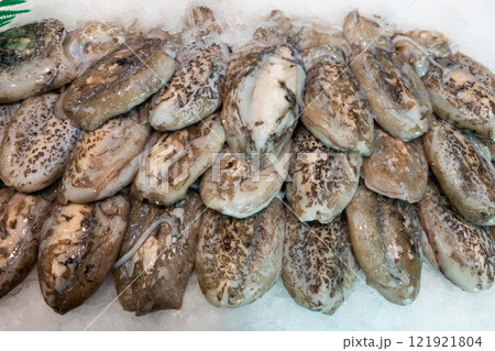 Raw cuttlefish - fish, freshly caught from the sea, lies on ice on counter at fish market Raw cuttlefish - fish, freshly caught from the sea, lies on ice on counter at fish market 121921804