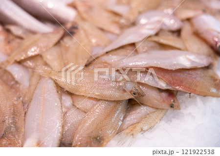 Peled fish in ice on a fish market counter close up 121922538