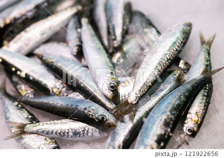Crumbled ice, pile of sardine fish carcasses lie on its surface, close up 121922656