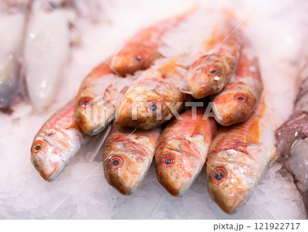 Red mullet fish on ice in market Red mullet fish on ice in market 121922717