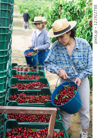 Asian woman working at the farm 121922788