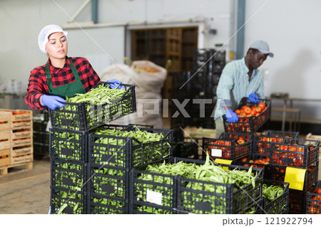 Factory workers stacking crates full of vegetables 121922794