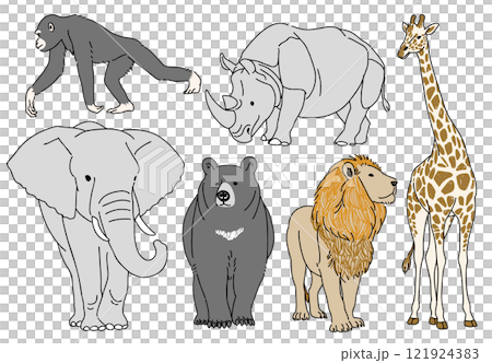 Hand-drawn illustration set of zoo favorites 121924383