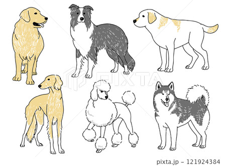 人気の大型犬の手描きイラストセット 121924384