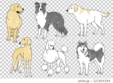 人気の大型犬の手描きイラストセット 121924384