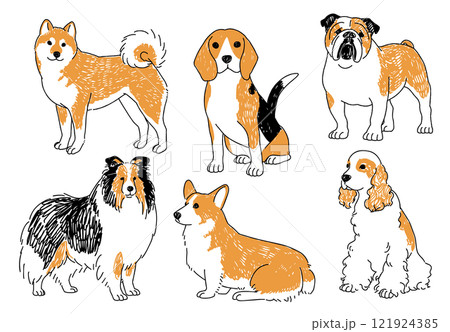 人気の中型犬の手描きイラストセット 121924385
