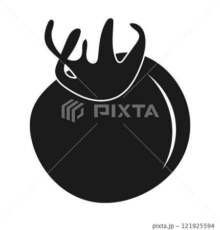 tomato fruit icon 121925594
