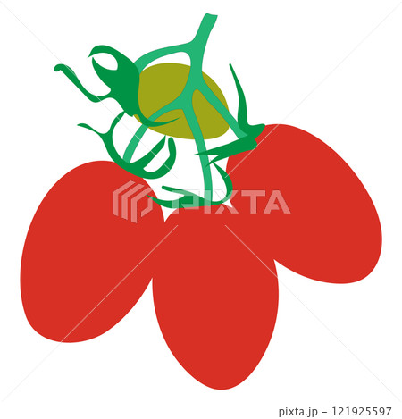tomato fruit icon 121925597