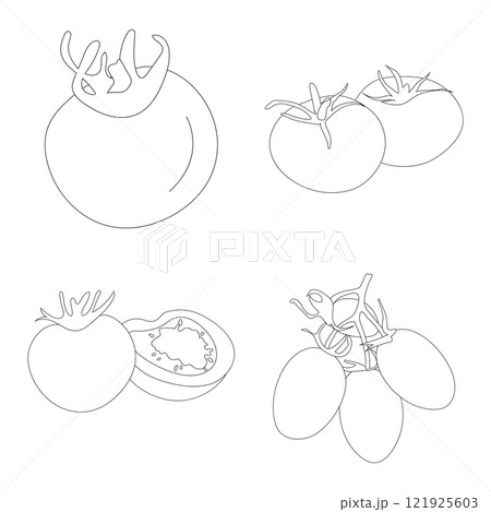 tomato fruit icon 121925603