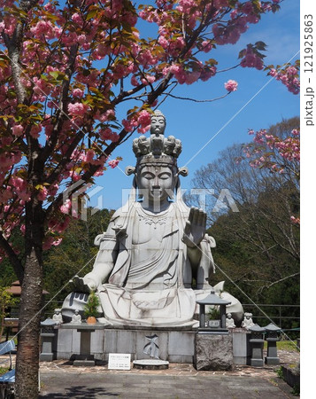 八重桜咲く壷阪寺の仏像 八重桜咲く壷阪寺の仏像 121925863