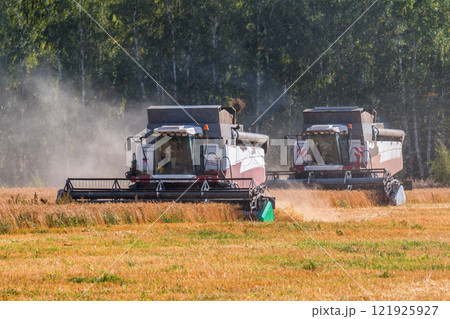 Modern combine harvesters working in the field Modern combine harvesters working in the field 121925927