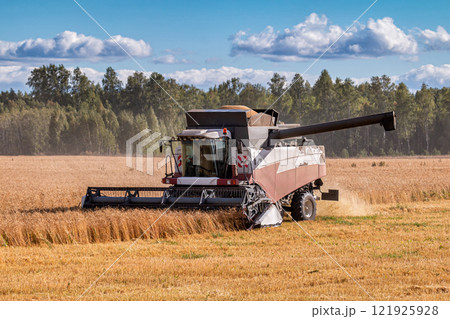 Modern combine harvester working in the field on a clear sunny day 121925928