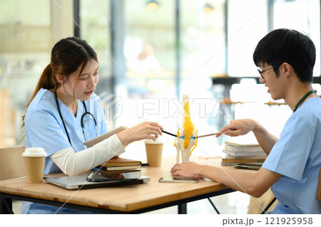 Two medical students discussing anatomy using skeletal model and taking notes Two medical students discussing anatomy using skeletal model and taking notes 121925958