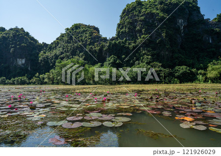 世界遺産　ベトナムの景観関連遺産　タムコック 121926029