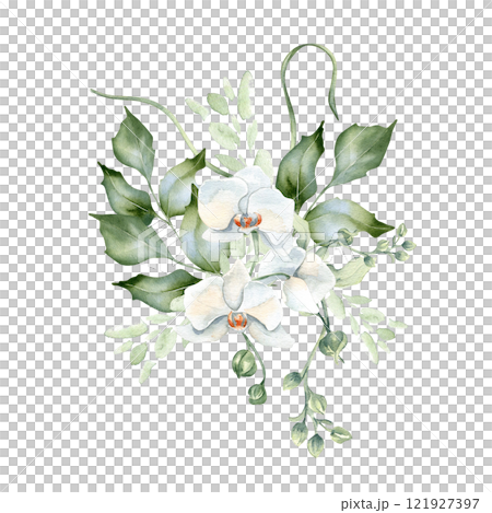 Greenery bouquet of holly branches and orchid bloom delicate watercolor illustration isolated. Foliage of rippled twigs hand drawn in soft green. White flower for nature design, wedding, wall art. Greenery bouquet of holly branches and orchid bloom delicate watercolor illustration isolated. Foliage of rippled twigs hand drawn in soft green. White flower for nature design, wedding, wall art. 121927397