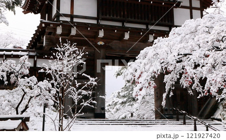 雪化粧の木立と表門 121927420