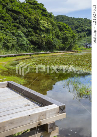 夏の多鯰ヶ池の木道の風景 鳥取県 多鯰ヶ池 121927613