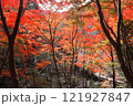 紅葉・武田尾 121927847