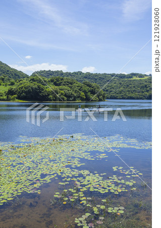 水上自転車が走る夏の多鯰ヶ池の風景 鳥取県 多鯰ヶ池 水上自転車が走る夏の多鯰ヶ池の風景 鳥取県 多鯰ヶ池 121928060