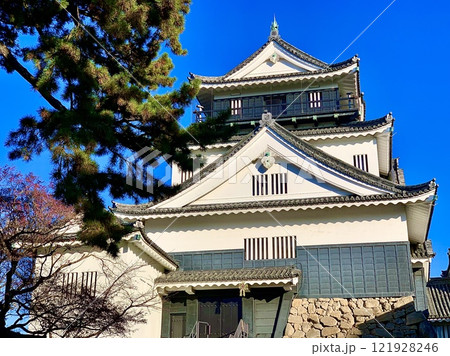 青空に映える岡崎城天守閣を仰ぎ見る〈岡崎城公園/愛知県岡崎市〉 121928246