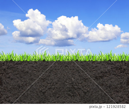 Environmental and conservation protection background. Cross section of grass and soil against blue sky background. Black ground, green grass and blue sky with white clouds. Copy space for text 121928582
