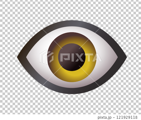 Single human eye, looking forward icon Single human eye, looking forward icon 121929118