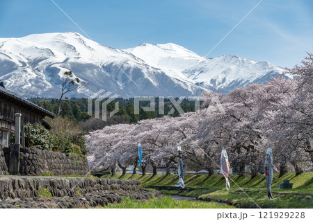 中山河川公園 中山河川公園 121929228