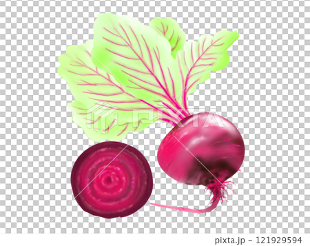 甜菜根圖 121929594