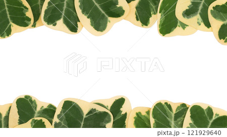 Green and Yellow Variegated Leaves Forming a Frame on White Background for Eco-Friendly Designs and Nature-Themed Projects 121929640