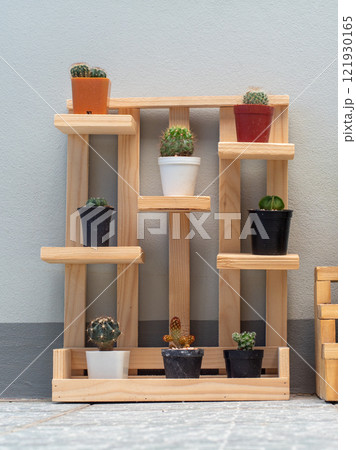 small cactus on wooden shalf 121930165