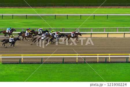 競馬　東京競馬場 121930224